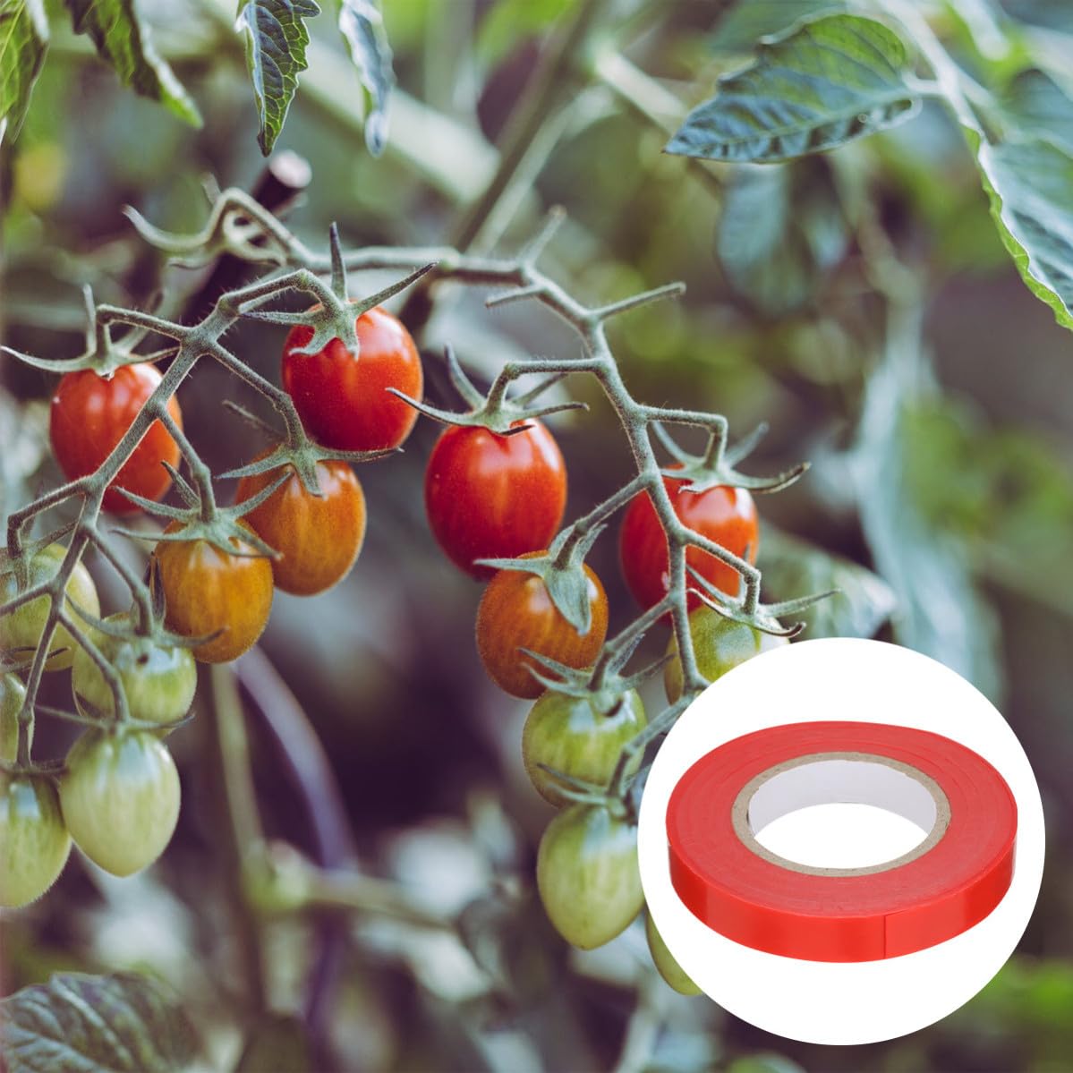 CHILDWEET Nastro Adesivo per Legare Piante 10 Pezzi in PVC Rosso per Pomodori e Peperoni, Riutilizzabile Senza Nodi, per Giardino e Piante da Interno