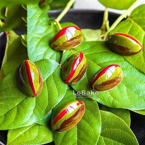 Miniatura 4 de 21 cavidades pequeña colina concha mar sofá forma policarbonato PC chocolate molde cubo hielo molde hacer dulces moldes DIY hornear cosas