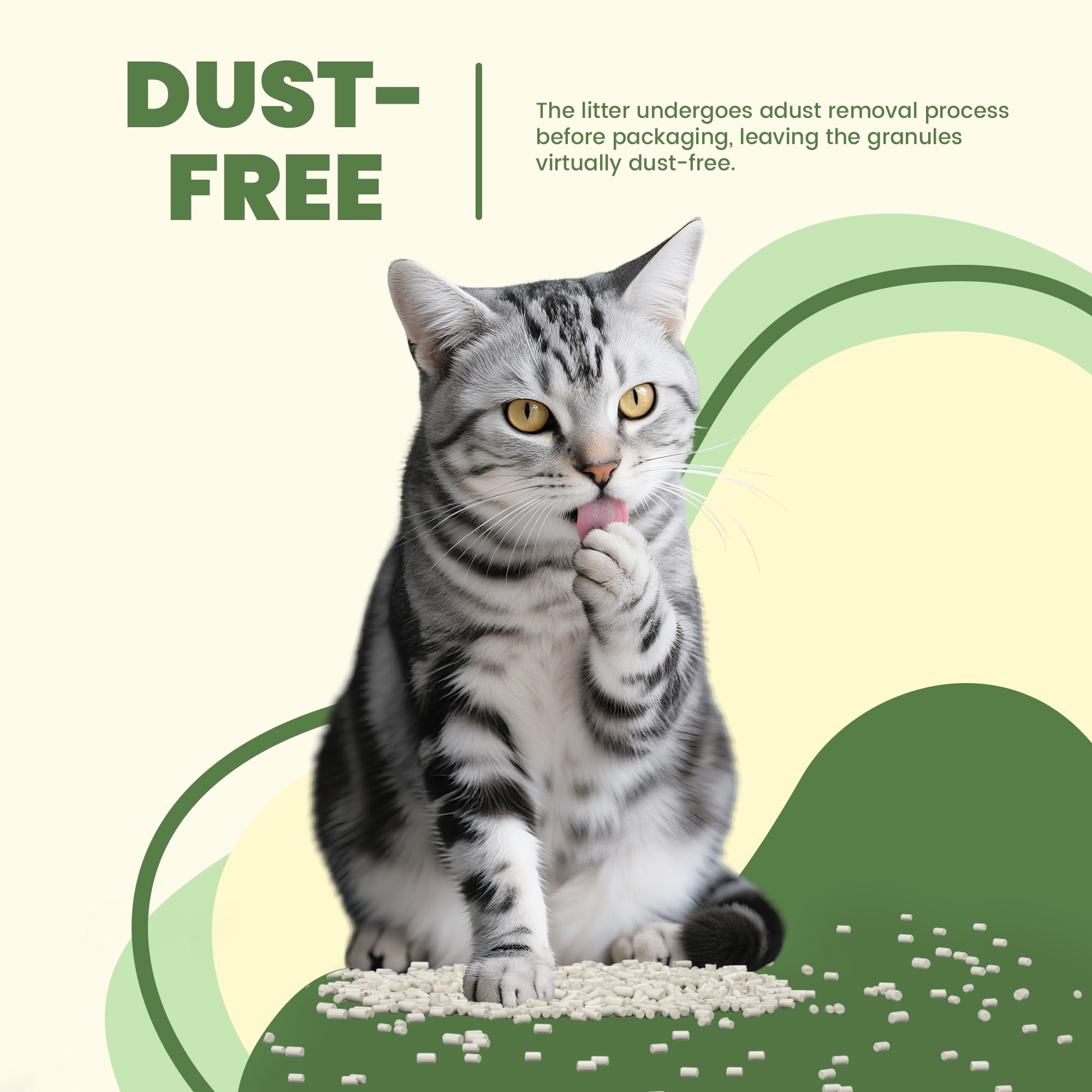 Pellets de arena para gatos con zeolita mejorada de 7 libras y almohadillas para orina de gato, juego de 10 unidades | Recambio para sistemas de caja de arena de doble capa, bandeja de cambio de acero inoxidable de alta calidad