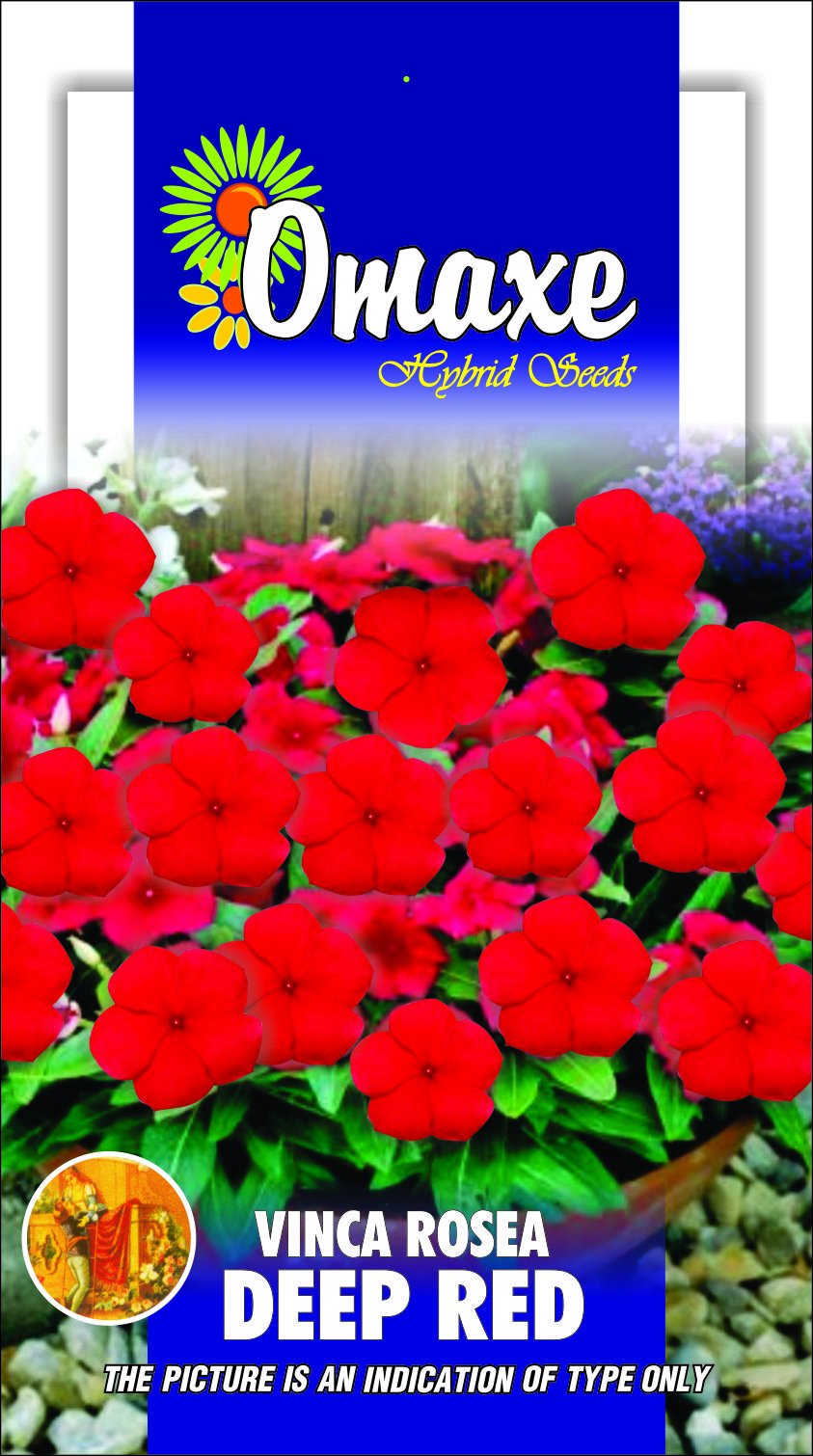Indica Super Agri Green Vinca Deep Red Nana Dwarf Seeds, 30 Seeds Pack (B01BTI8RCY) Amazon Price History, Amazon Price Tracker