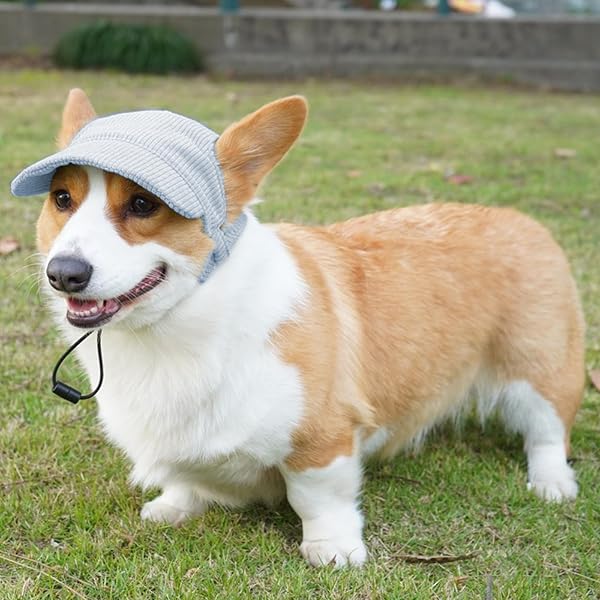 Dog Baseball Cap, Dog Cat Summer Beach Visor Hat with Ear Holes, Adjustable Puppy Sunbonnet Headdress (Blue, Large) - 5