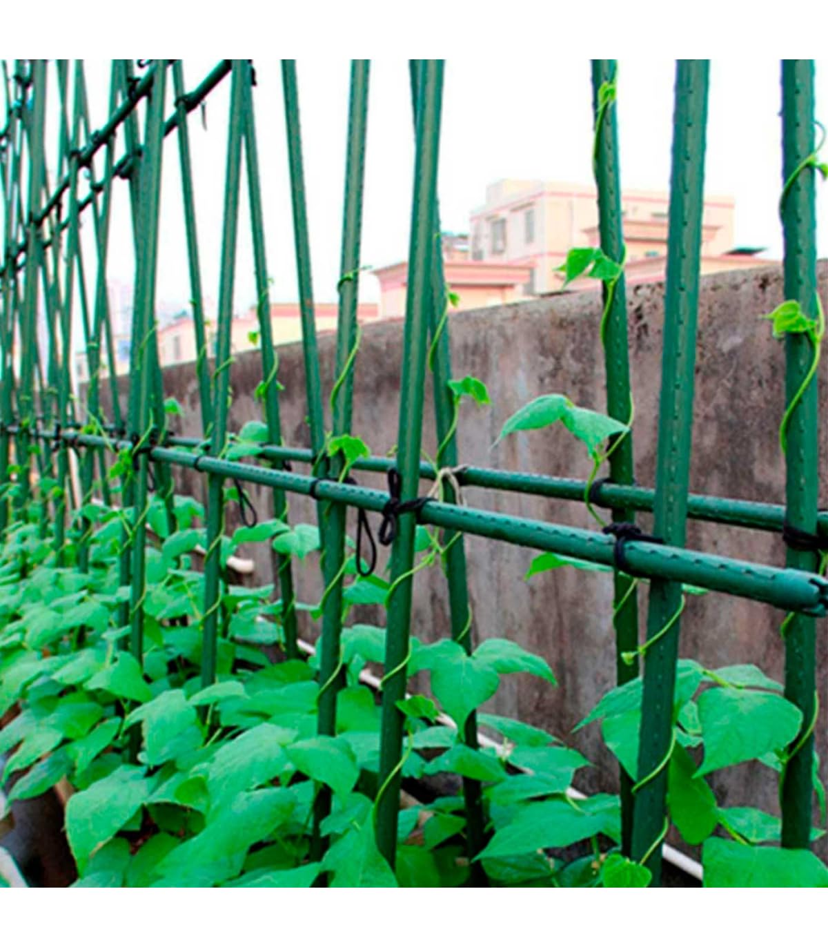 Tutor acero plastificado con punta 20mm x 1.5m. 25uds. Color verde, entutorado y guiado de plantas firme y duradero