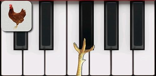 Chicken Piano