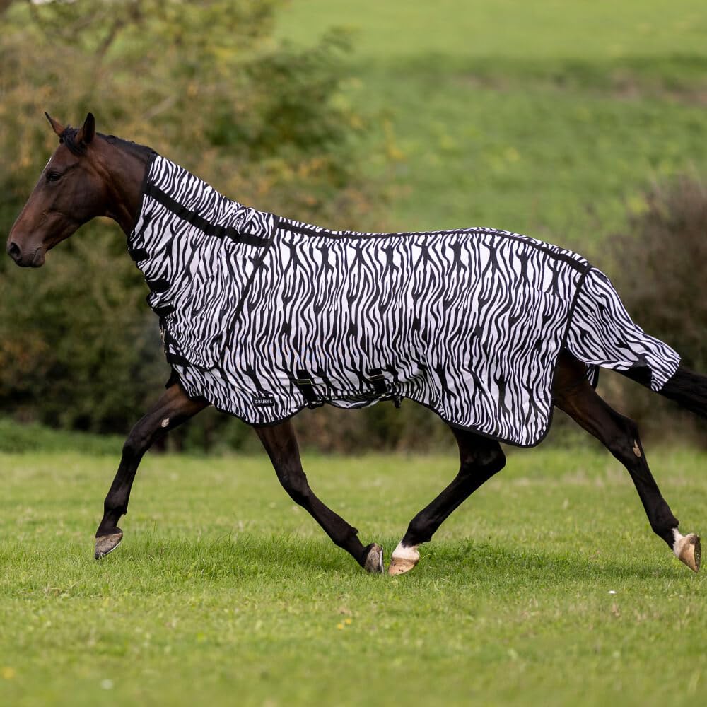 Couverture anti-mouches zèbre Busse Comfort Flexi 135 cm pour protéger votre cheval au pré