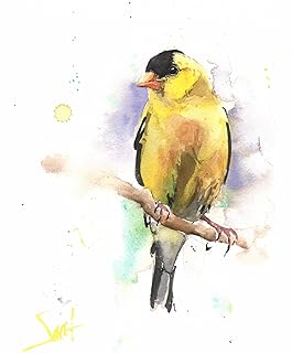 Watercolor Goldfinch Wall Art Print - Yellow Bird Painting