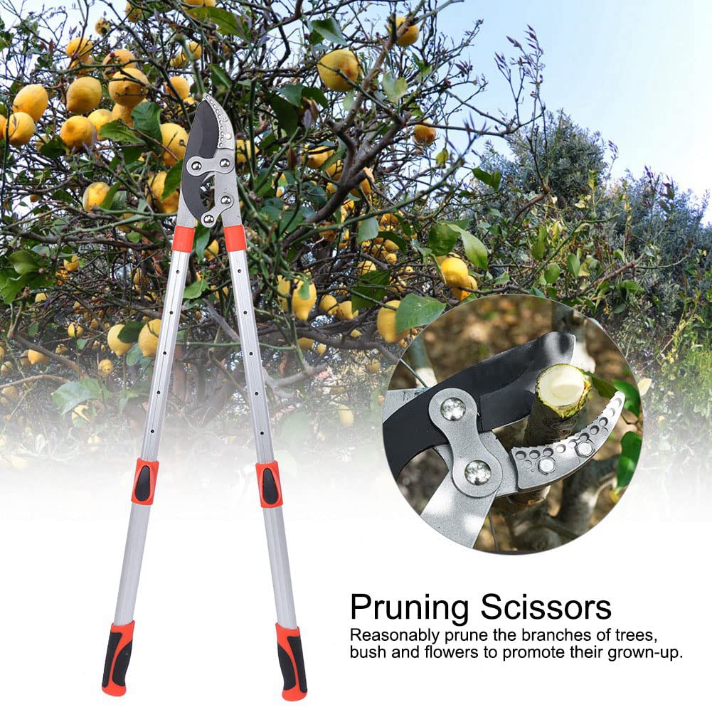 Tijeras de podar de jardín profesionales, mango telescópico ajustable de alta resistencia, tijeras de acero con alto contenido de carbono para podar árboles, flores, bonsái,
