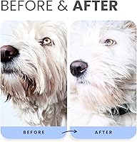 Vista 5 de Lillian Ruff Fórmula PRO Berry Blue Brightening Set de Champú y Acondicionador para Perros - Blanqueador de Calidad Profesional para Exposiciones