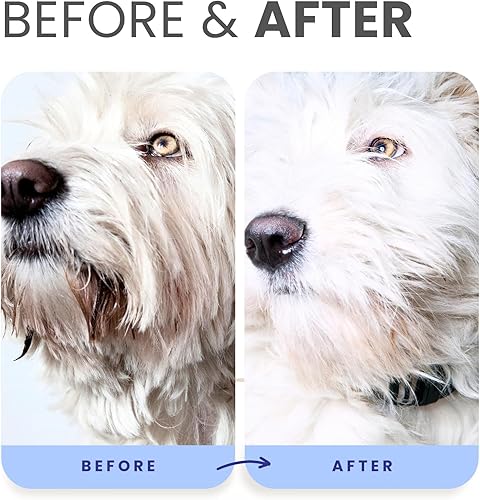 Miniatura 5 de Lillian Ruff PRO Formula Berry Blue Brightening Dog Shampoo & Conditioner Set  Profesional de calidad de demostración, blanqueamiento, eliminación