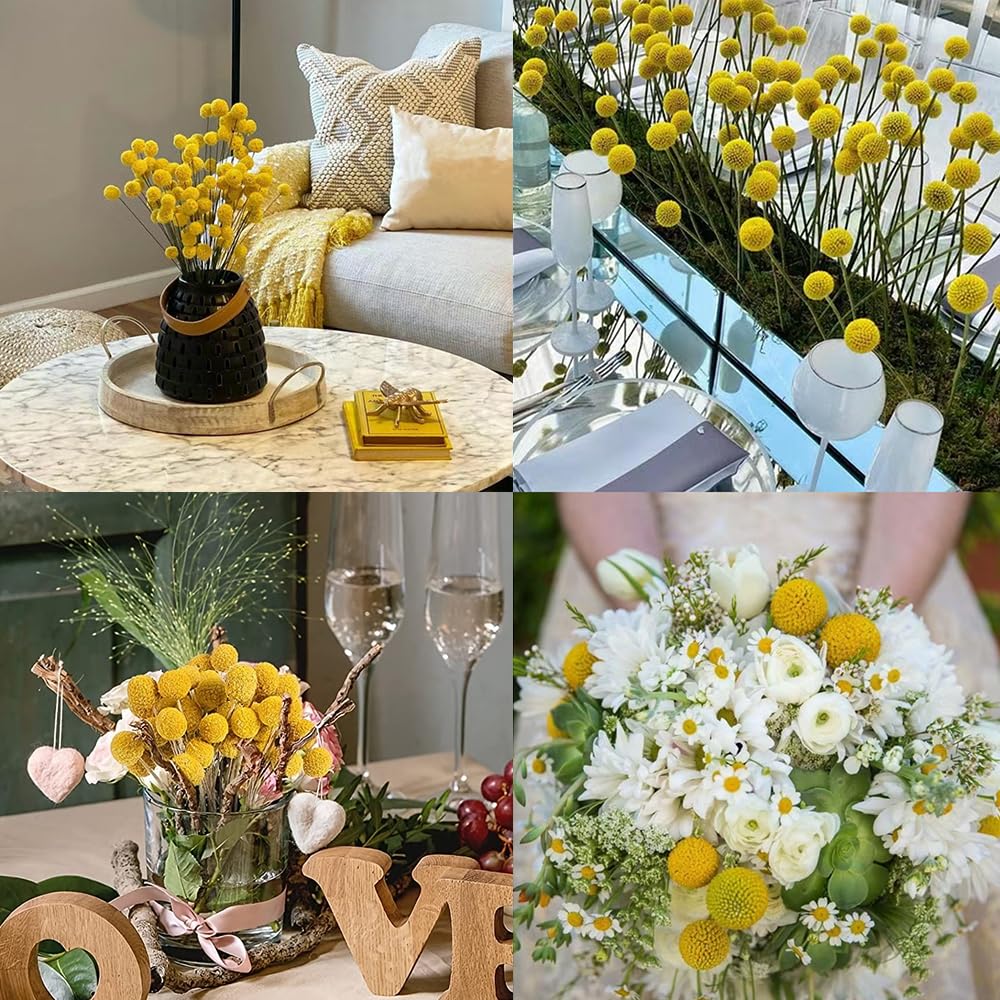 Billy - 50 palline con fiori secchi gialli, per composizioni floreali fai da te, matrimoni, casa, vaso alto