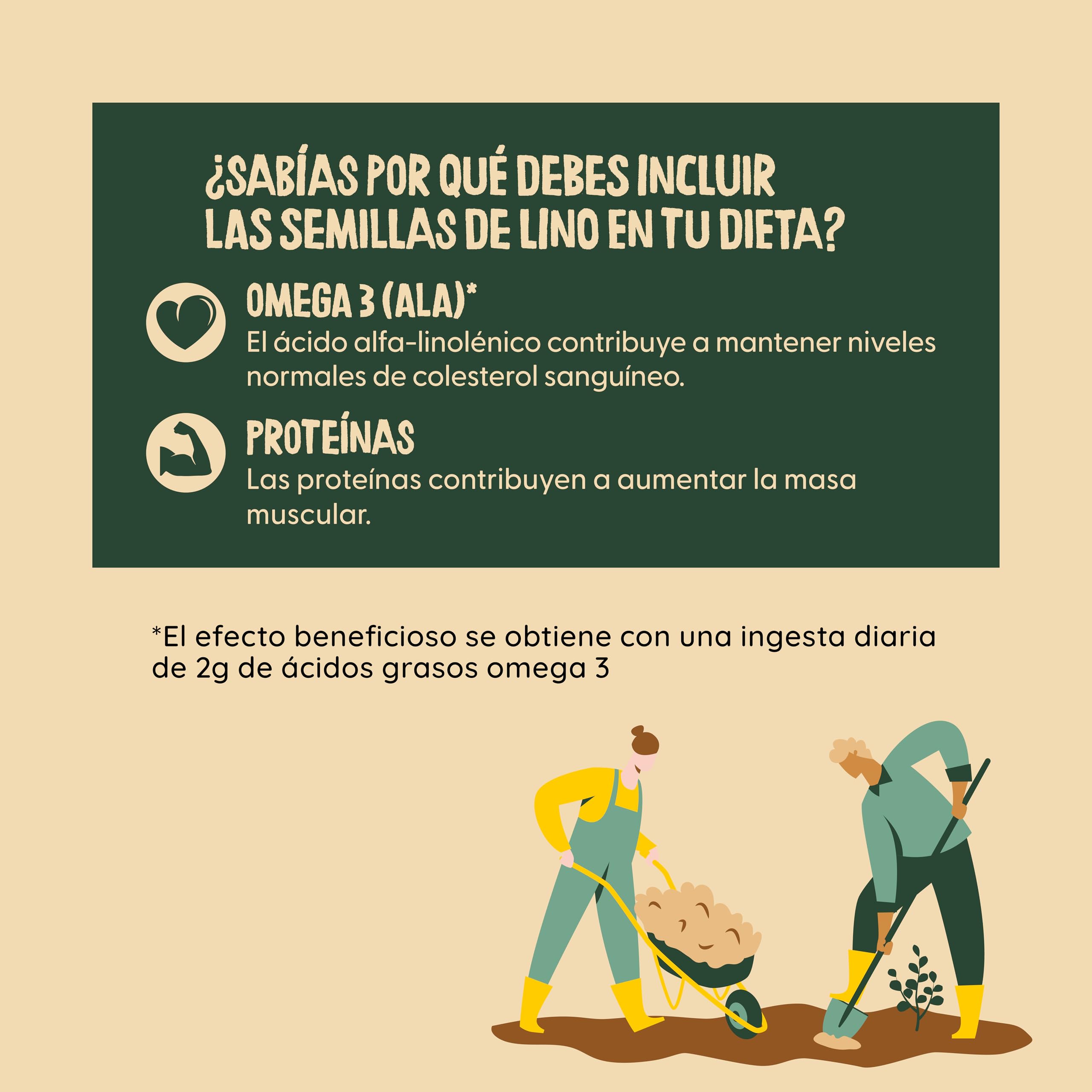 NATURCESTA ALIMENTACIÓN NATURAL - Pack de 12 Bolsas de Semillas Ecológicas de Lino de 400 g - Alto Contenido en Fibra, Omega 3, Vitamina E y Magnesio - Apto para Dieta Vegana y Paleo