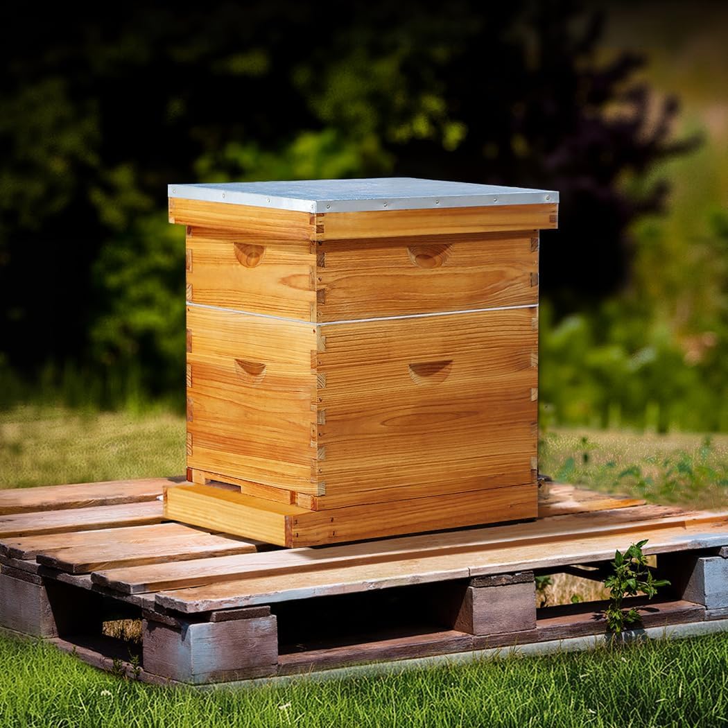 10 Frame Langstroth Beehive Kit Dipped in Heavy Beeswax Bee Hives with 1 Deep Bee Box and 1 Medium Bee Hive Box with Frame and Foundation(Unassembled)