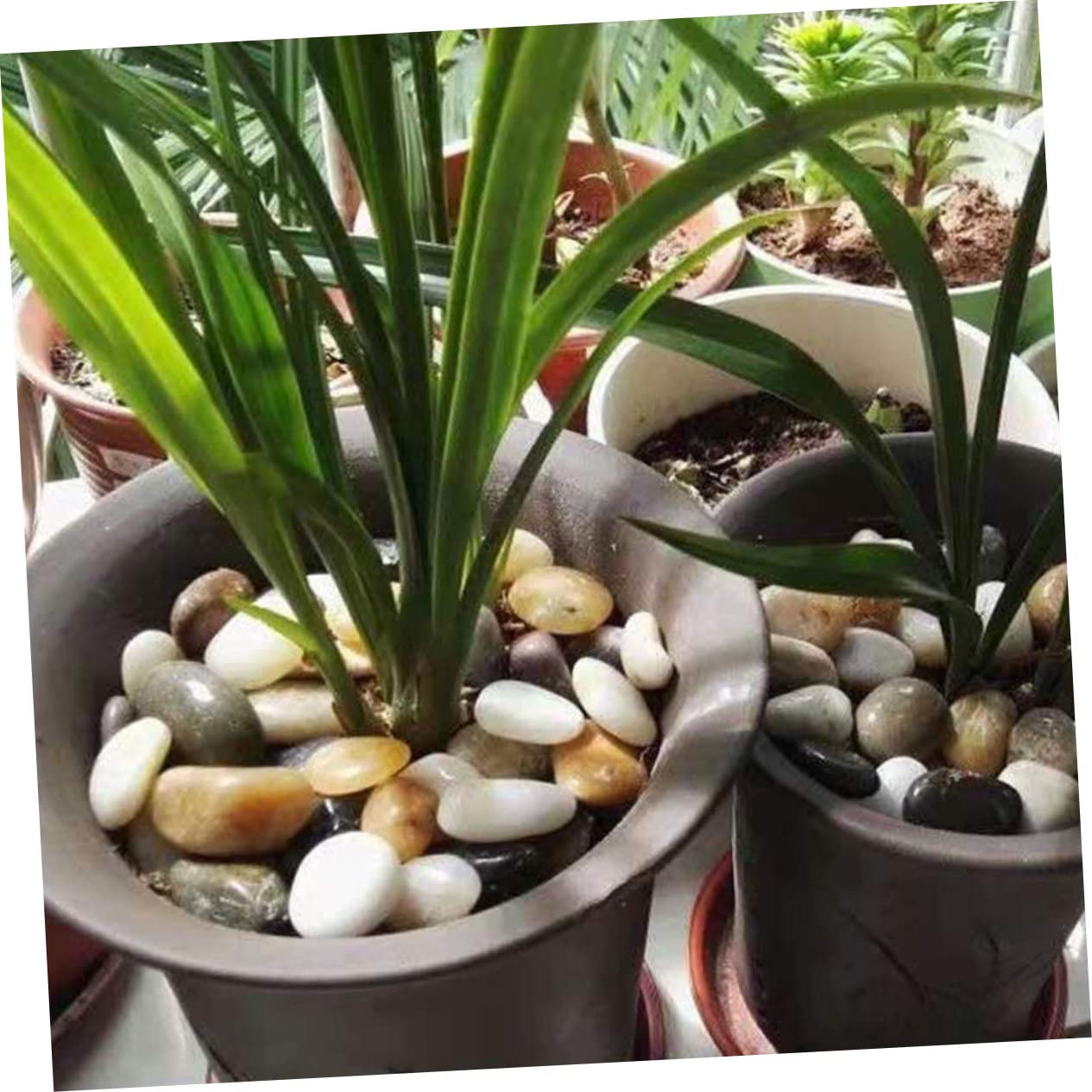 BEBEMOKO DIY Craft Stones 3 Packs of Small Pebbles for Planters Decorative Rocks for Aquariums Flower Pots