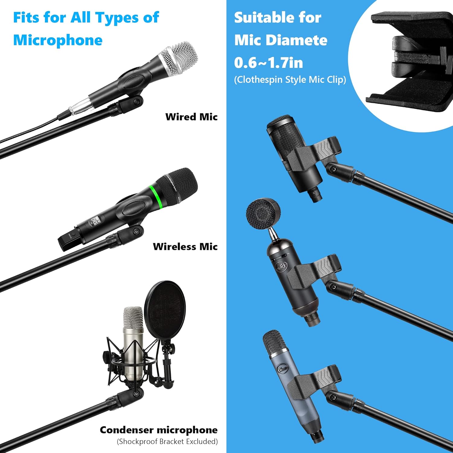 Buy Bietrun Pro Wireless Microphones System with Mic Stand Online at
