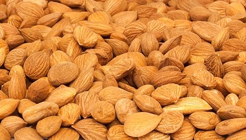 Miniatura 6 de Nutriseeds Semillas de albaricoque amargo  Cultivadas en California  Certificado libre de pesticidas y herbicidas  (12 libra) 8 oz aproximadamente