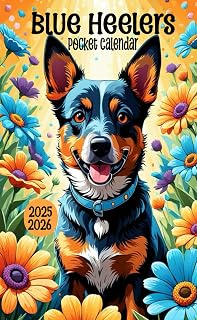 Blue Heelers Pocket Calendar 2025-2026: Small 2-Year Monthly Planner For Purse