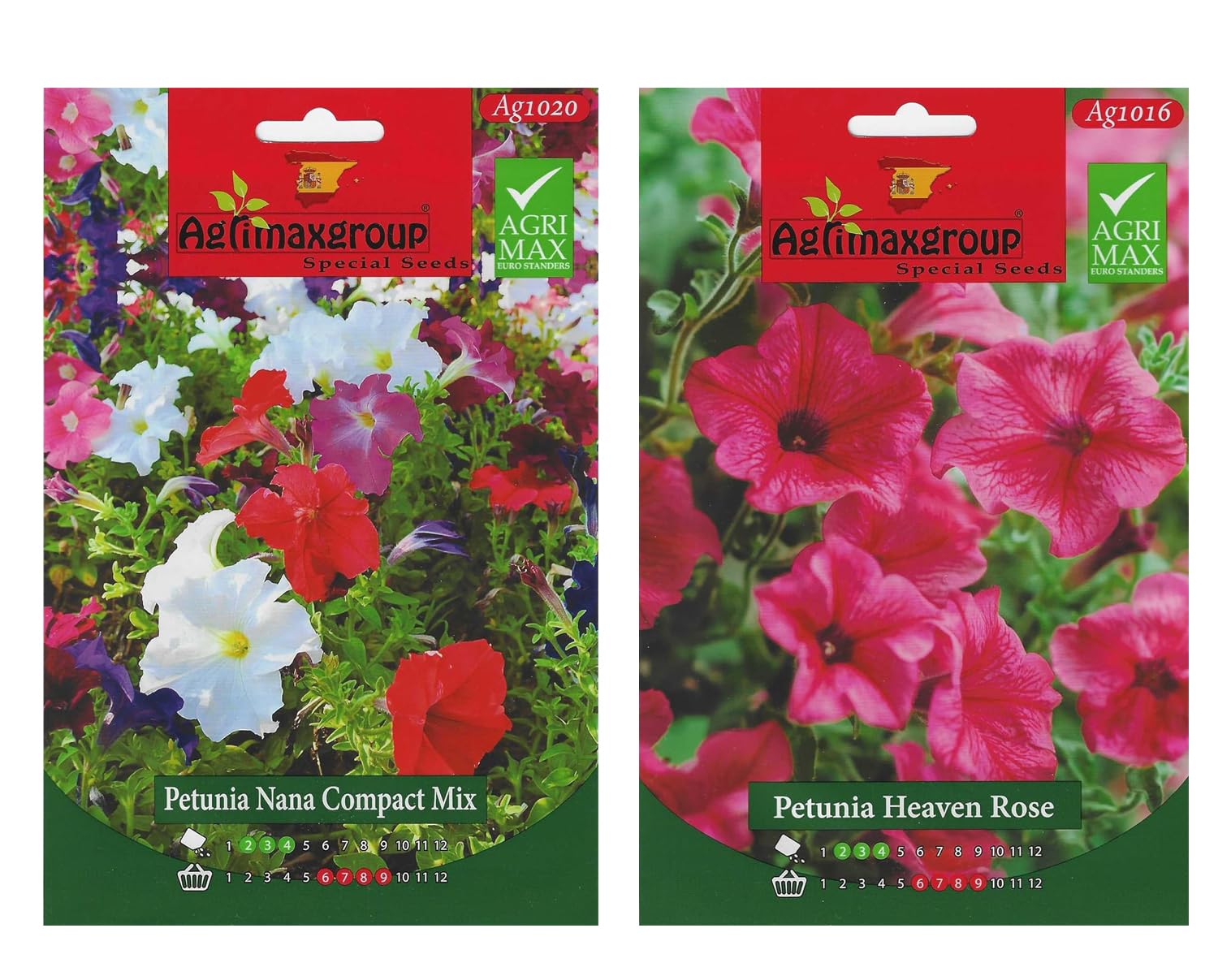 Petunia flower | Agrimax | petunia seeds |, purple | Mixed multi pack | Heat & Drought Tolerant | Ground Cover Plant | 5g seeds per packet | 2 pack