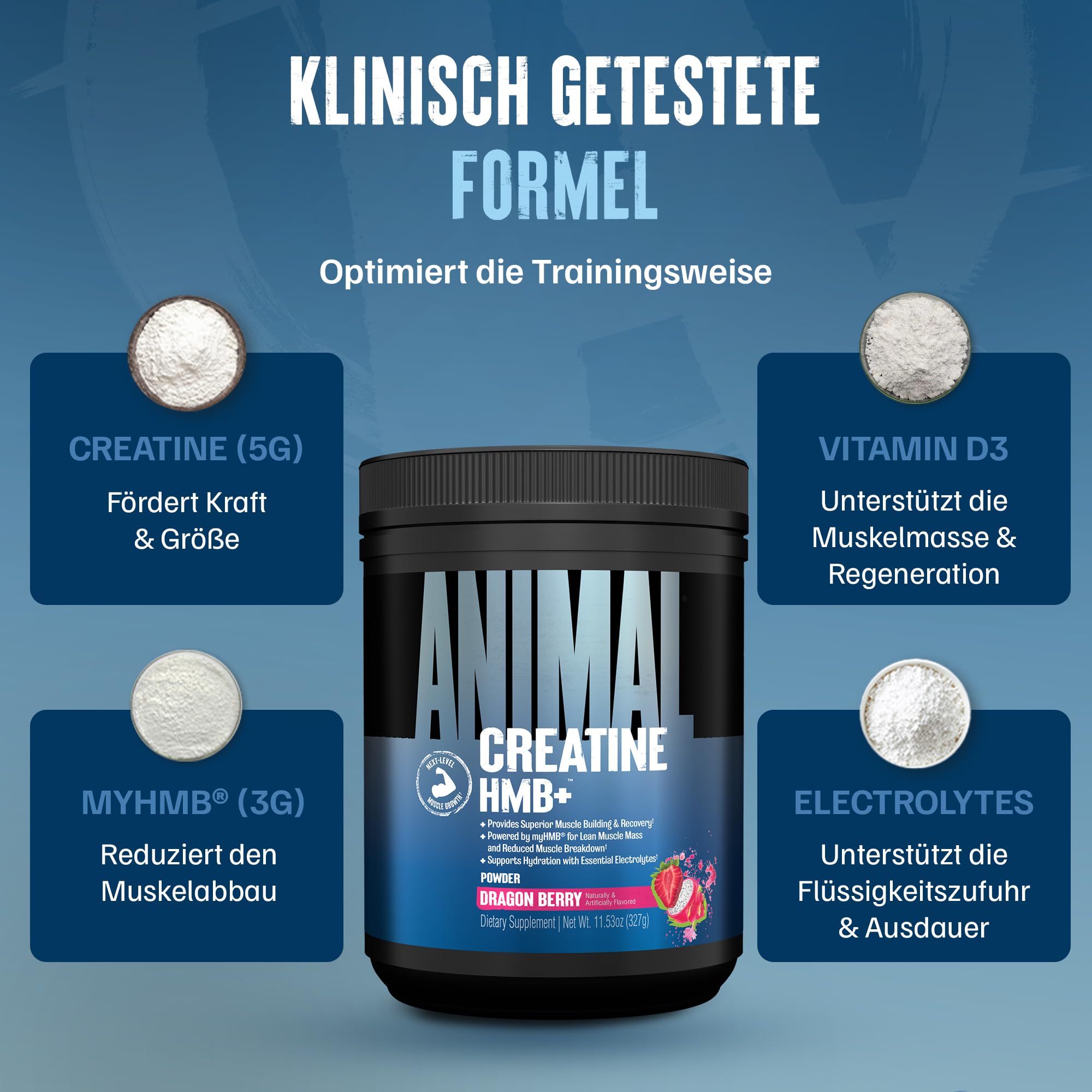ANIMAL Creatine HMB+ - Kreatin-Monohydrat-Pulver mit HMB & Elektrolyten - unterstützt Muskelwachstum, Regeneration & Ausdauer - mit Dragon Berry, 30 Portionen