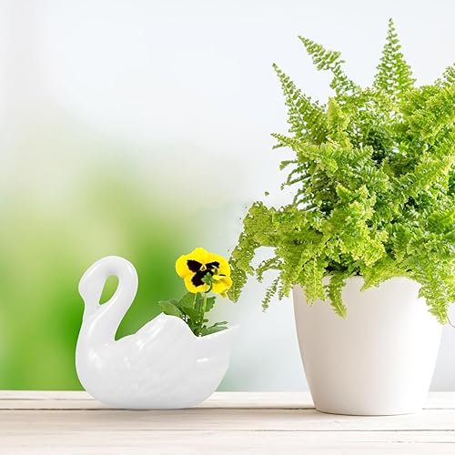 Miniatura 2 de Yardwe Maceta de cisne blanco de cerámica, maceta con forma de cisne para suculentas, decoración del hogar, decoración del jardín (sin agujeros de