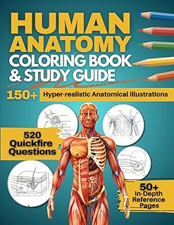 Human Anatomy Coloring Book and Study Guide: 150+ Hyper-Realistic Anatomical Illustrations, 50+ In-depth Anatomy and Physiology Study Guide Pages, and ... Medical, Nursing, and Healthcare Students.