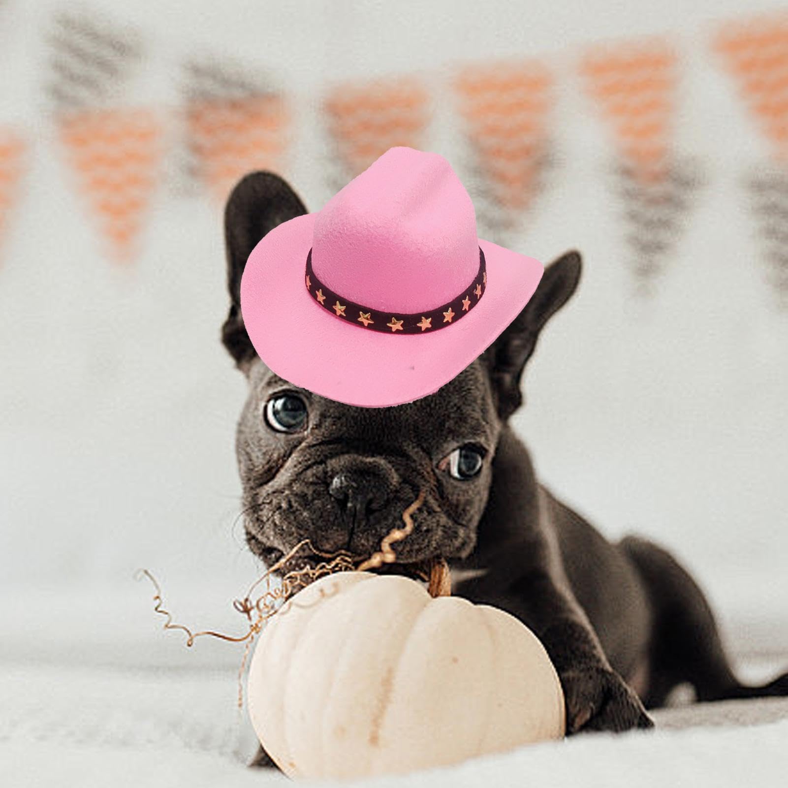 Cappello da cowboy per animali domestici, per costume da