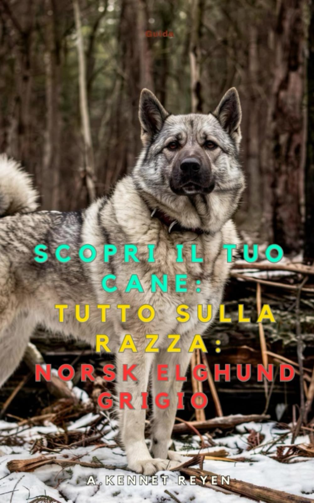 Scopri il tuo Cane:Tutto sulla razza: Norsk elghund grigio