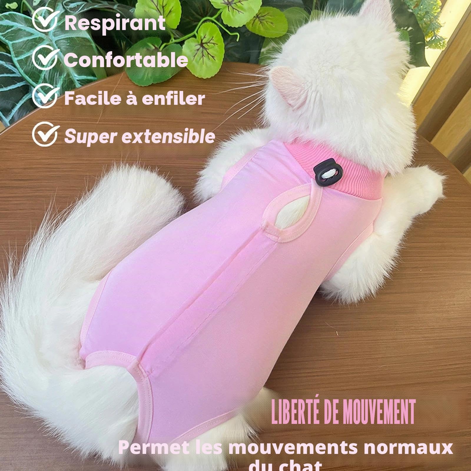 2PCS Gilet de Récupération de Chat,Body Chat Post Opératoire Stérilisation, Combinaison de Récupération pour Chat Anti Léchage， Protection Post-Chirurgie, Contre Les Maladies de Peau -Rose + Bleu(M)