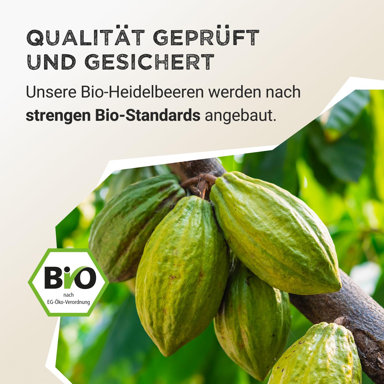 HARVEST REPUBLIC Bio kakao w proszku 100% bez dodatku cukru 125 g
