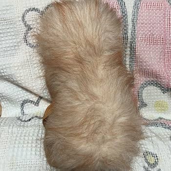 昭和レトロ　ヴィンテージ　ファースト社　あリス　大　ぬいぐるみ　中古品 Amazon.co.jp: ヴィンテージ ファースト社 あリス 大 ぬいぐるみ