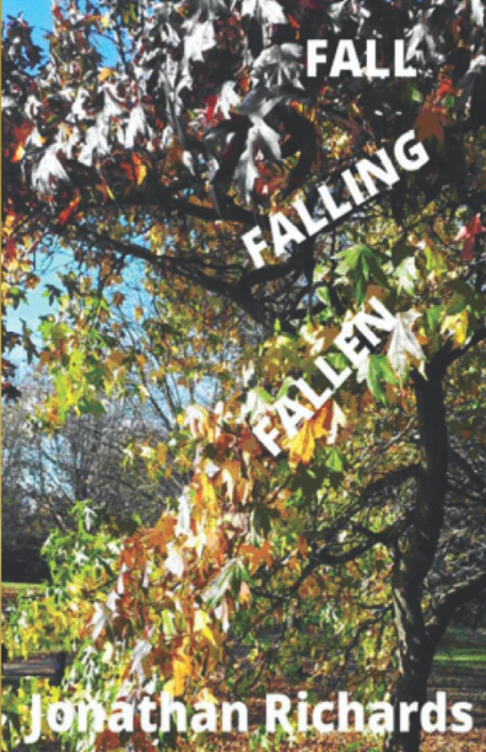 FALL FALLING FALLEN