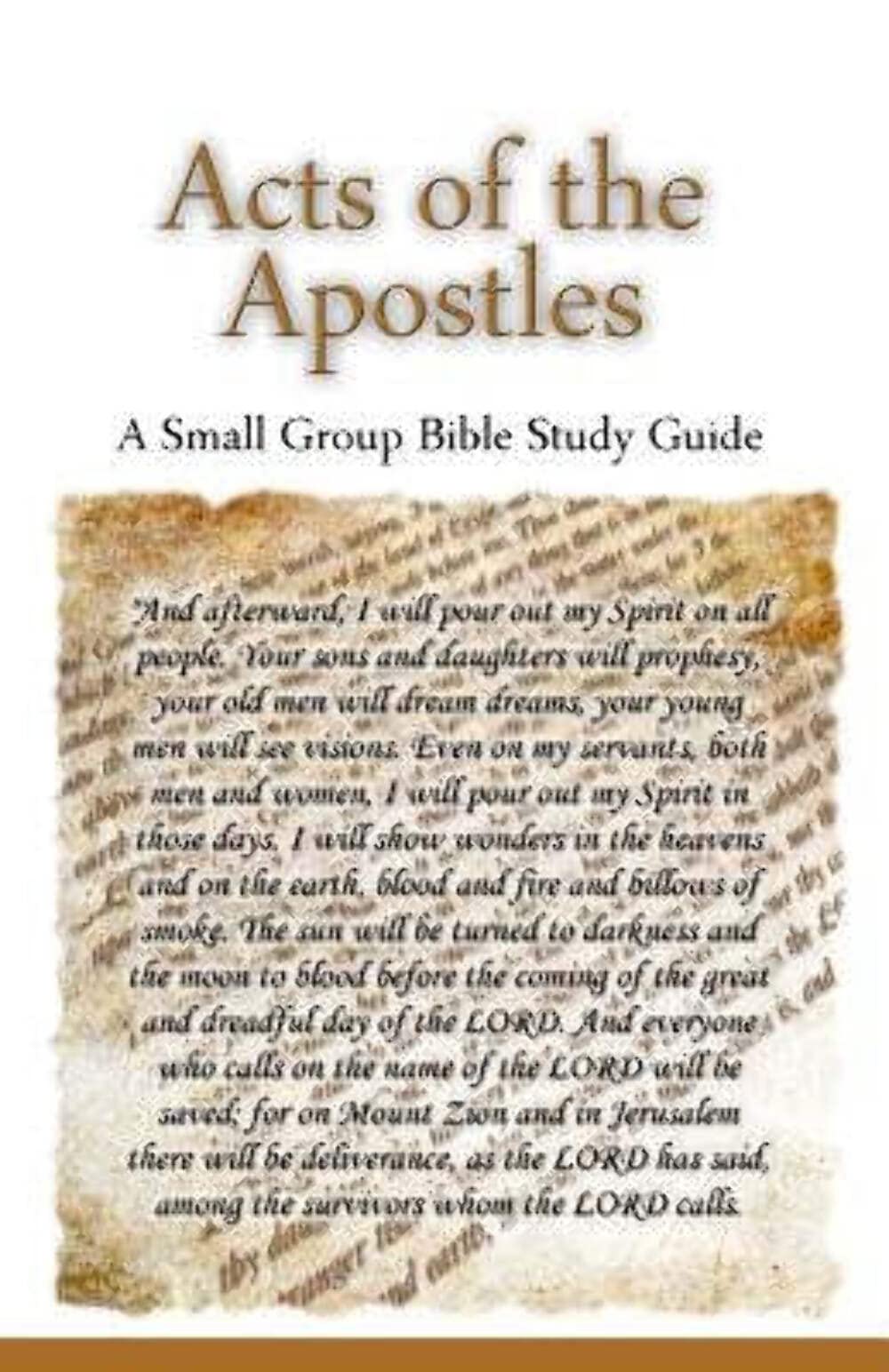Acts of the Apostles, A Small Group Bible Study Guide