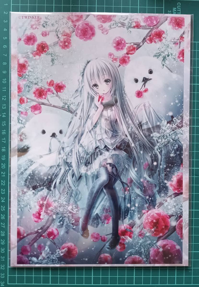 Amazon.co.jp: てぃんくる先生 版画展A4サイズイラストボード
