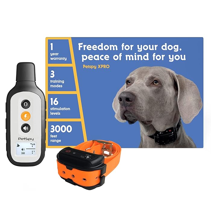 Buy PetSpy XPro Dog Training Shock Collar, 1000 Yards, Small to Large