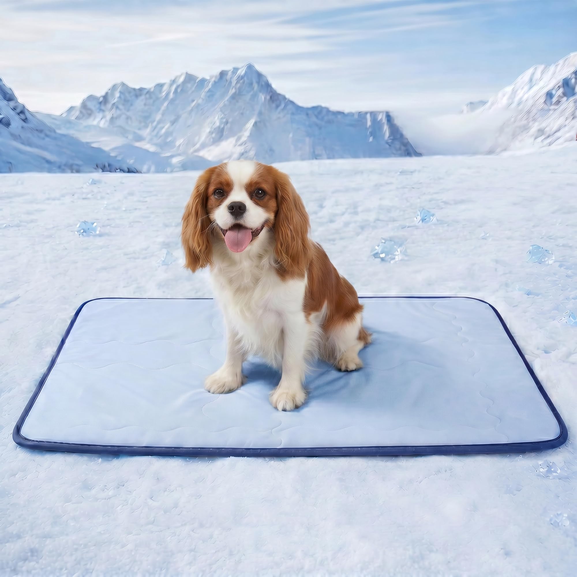 Deconovo Tappetino Rinfrescante per Cani e Gatti 102x74 cm, Tappeto Fresco Double Face con Tessuto Cooling e Morbida Spugna, Trapuntato e Lavabile, Materassino Estivo per Cuccia, Divano e Auto, Blu