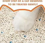 Cat Litter - Superior Odor Control, Flushable, Ultra Absorbent, Fast Drying, Natural Ingredients, Low Tracking, Dust-Free Less Scattering (Cubic Pack - Vanilla White Tea 2 Bags)
