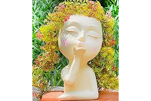 Face Planter: Captivating Vessel for Indoor and Outdoor Greenery