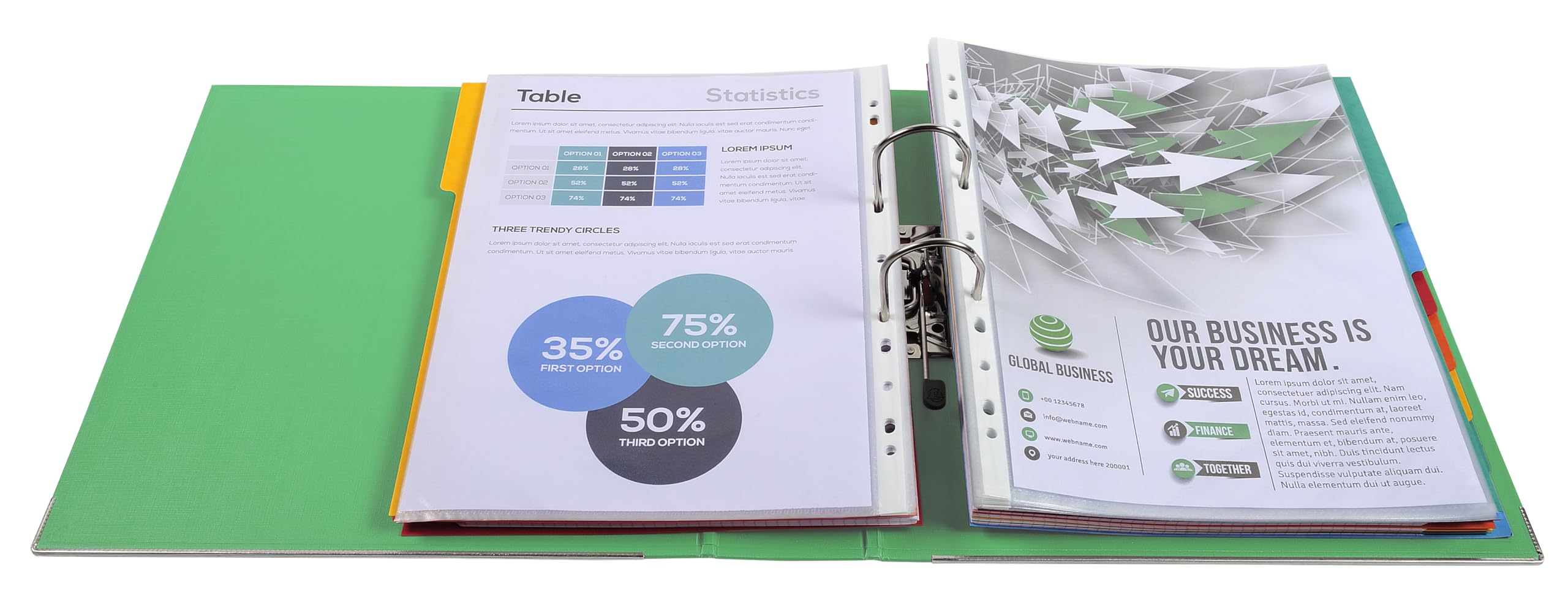 Exacompta - Réf. 53343E - Carton de 10 classeurs à levier A4 MAXI Prem'Touch - Dos 80 mm - Mécanique 80 mm - Dimensions extérieures : 32 x 30 x 8 cm - Format à classer A4 Maxi - Coloris : Vert
