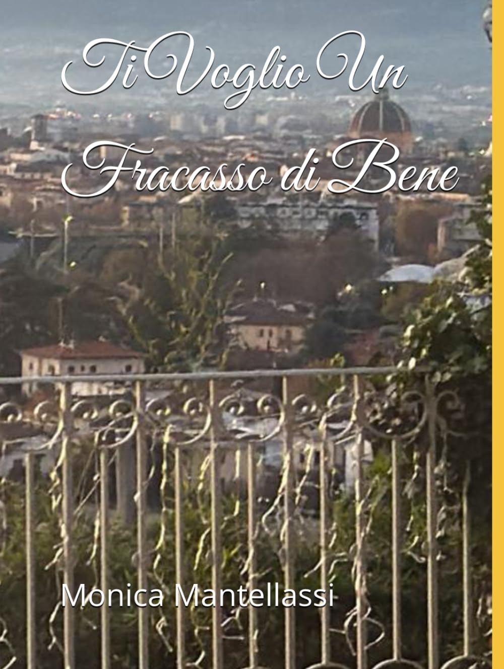 Ti Voglio Un Fracasso di Bene