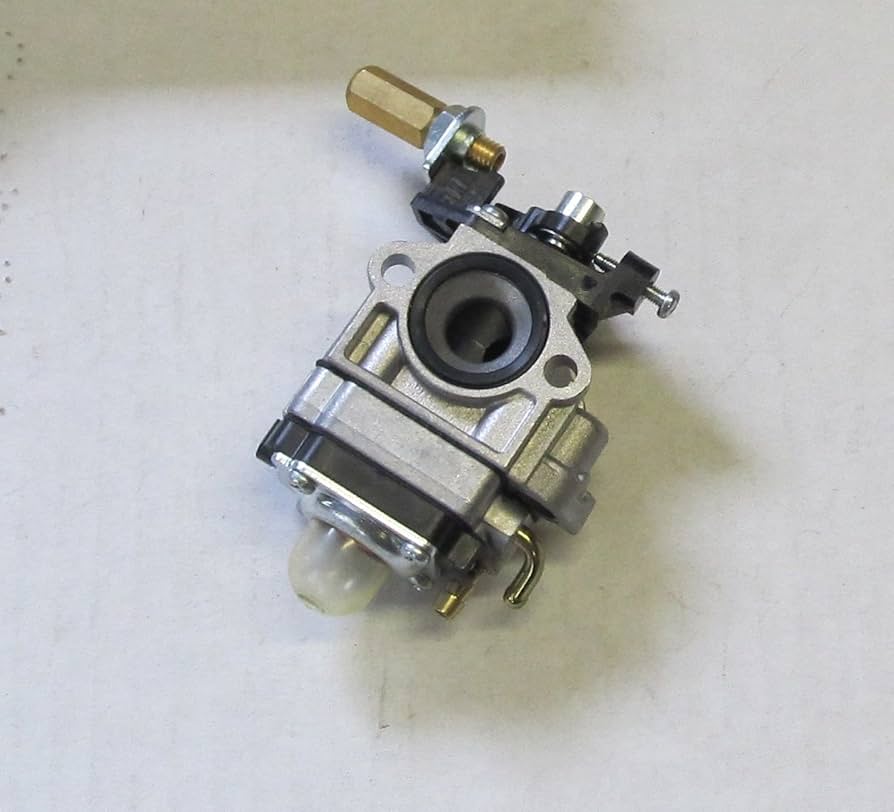 Amazon.com: New A021002070 Carburetor Assembly Genuine