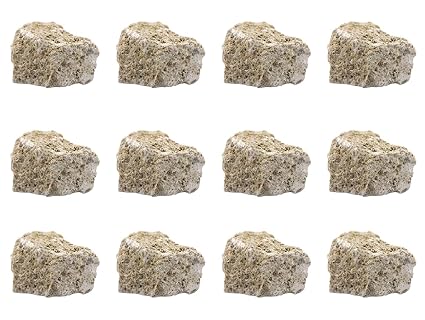 EISCO 12PK Raw Fossiliferous Limestone, Sedimentary Rock Specimens - Approx. 1