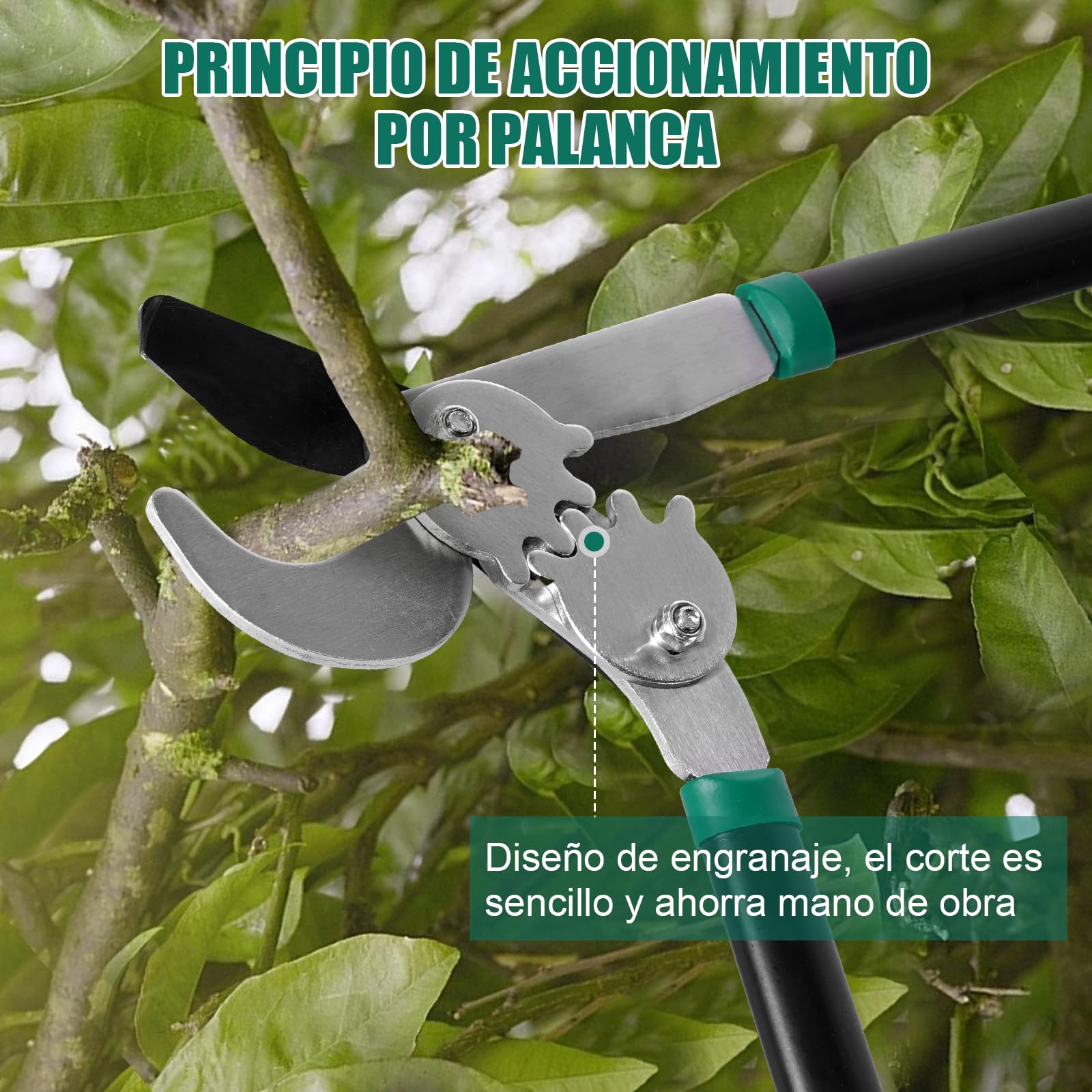 HYCHIKA Tijeras Podar 74CM, Tijeras de Podar de Mano, Podadora Cuts Ø50 mm max., Tijera de Ahorro de Trabajo con Cuchillas Afiladas, para Podar Ramas Secas y Húmedas