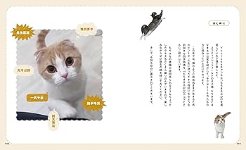 人生のヒントが見つかる もちまる日記四字熟語 | 下僕 |本 | 通販 | Amazon