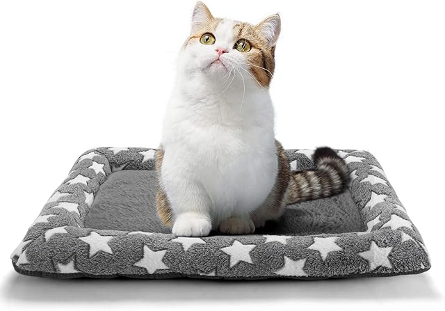 Dog Crate Mattress Small Dog Cat Bed Mat for Indoor Cats Pet Crate Bedding for 22 inch Cage UK Ultra Soft Flat Puppy Cushion Blanket Pillow Pad for Small Dogs and Cats Grey Washable Anti Slip