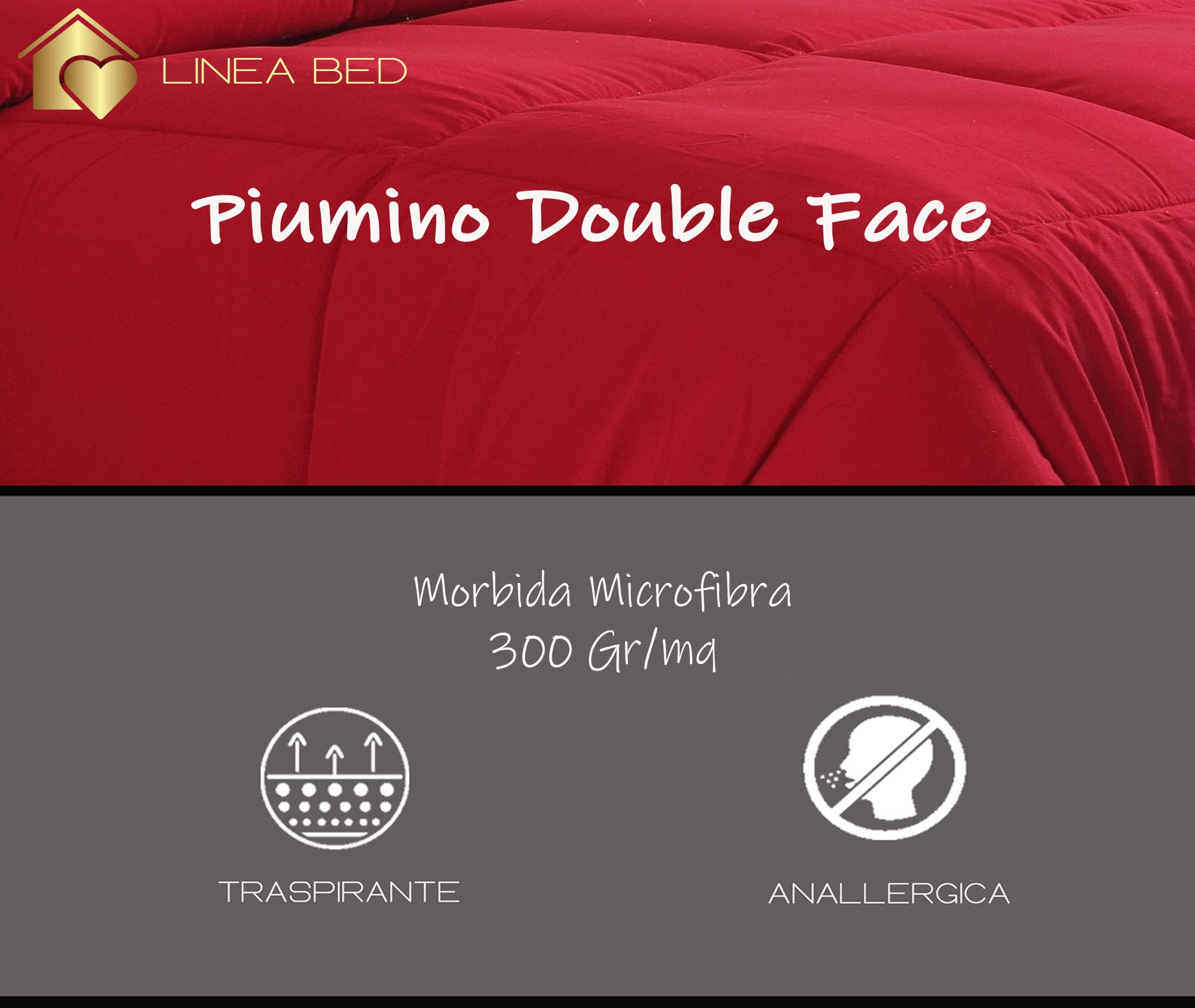Home Tresor - Piumone Piumino Invernale Caldissimo Imbottitura in Morbida Microfibra Anallergica Soft 300 gr/mq Qualità Premium Reversibile Bicolor (Blu/Avio, Singolo cm. 155x200)