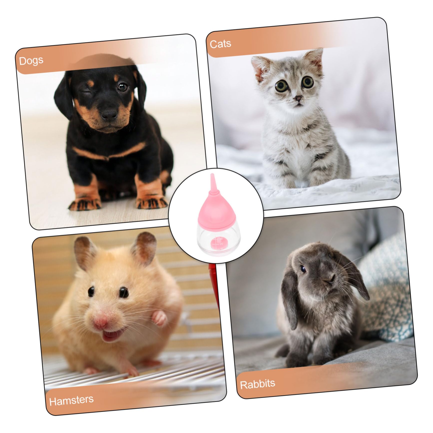 5 Mini Biberon per Neonati Cuccioli E Gattini A Prova di Perdite in Materiale Robusto
