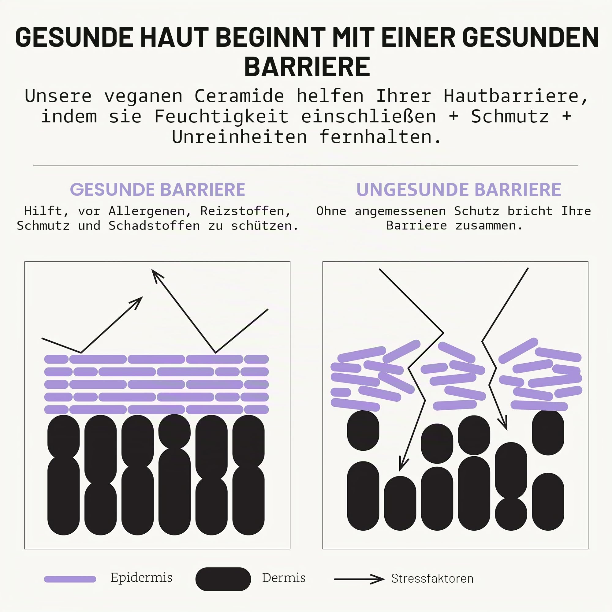 Pacifica Gesichtsreiniger für empfindliche Haut Gesichtsreiniger Vegan Ceramide Barrier Repair Extra Sanft für Täglich Duftfrei für empfindliche Haut Saubere Schönheit Vegan & Tierversuchsfrei