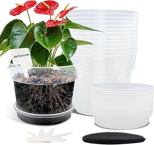 BTPLASTIK Macetas transparentes de 6 pulgadas, paquete de 15 unidades, macetas de trasplante con almohadillas de malla de malla antifugas, macetas