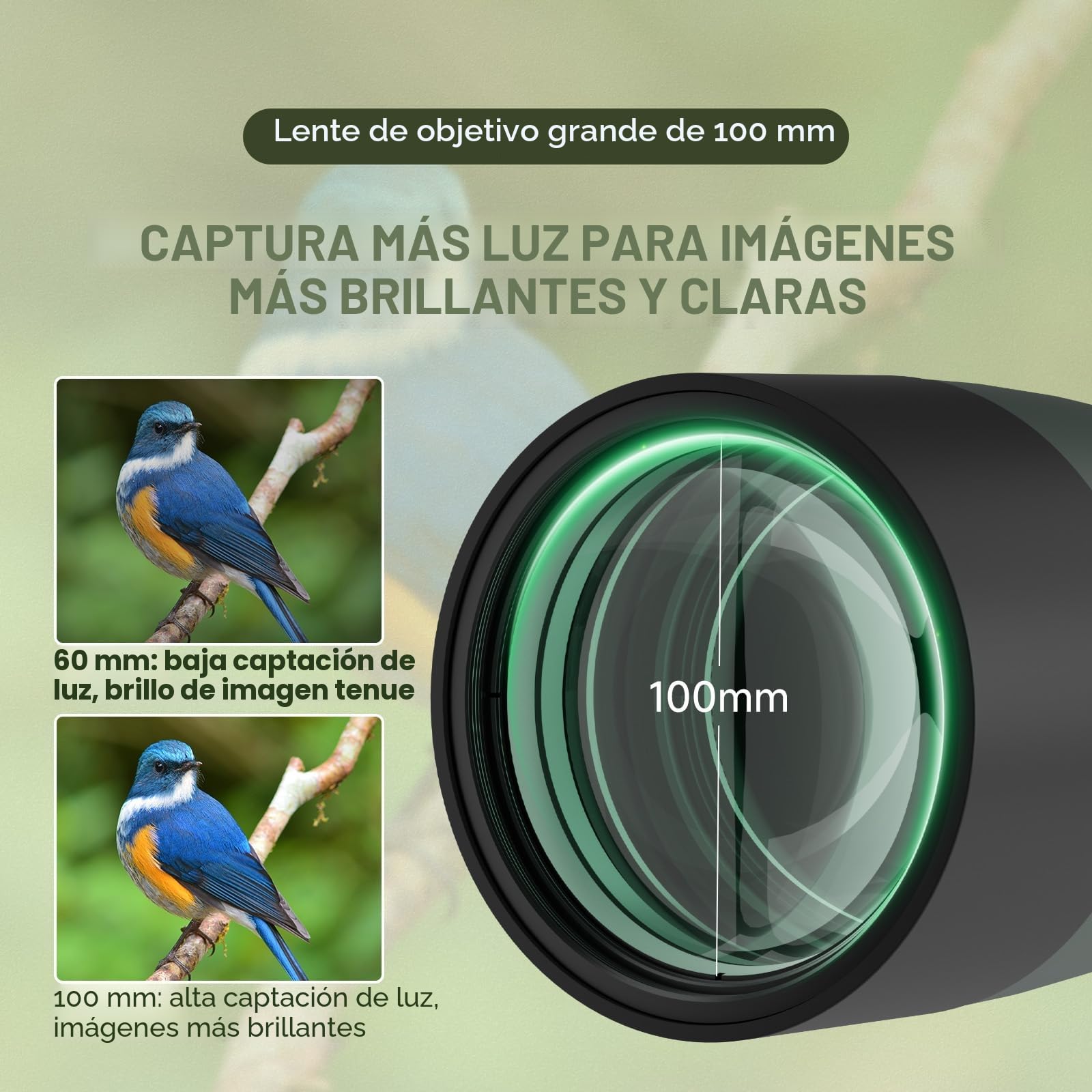 Svbony SV28 25-75x100mm Telescopio Terrestre con Trípode, Gran Campo de Visión Imágenes Claras y Brillantes, HD Bak4 FMC Telescopio Terrestre con Adaptador, para Tiro al Blanco, Observación de Aves