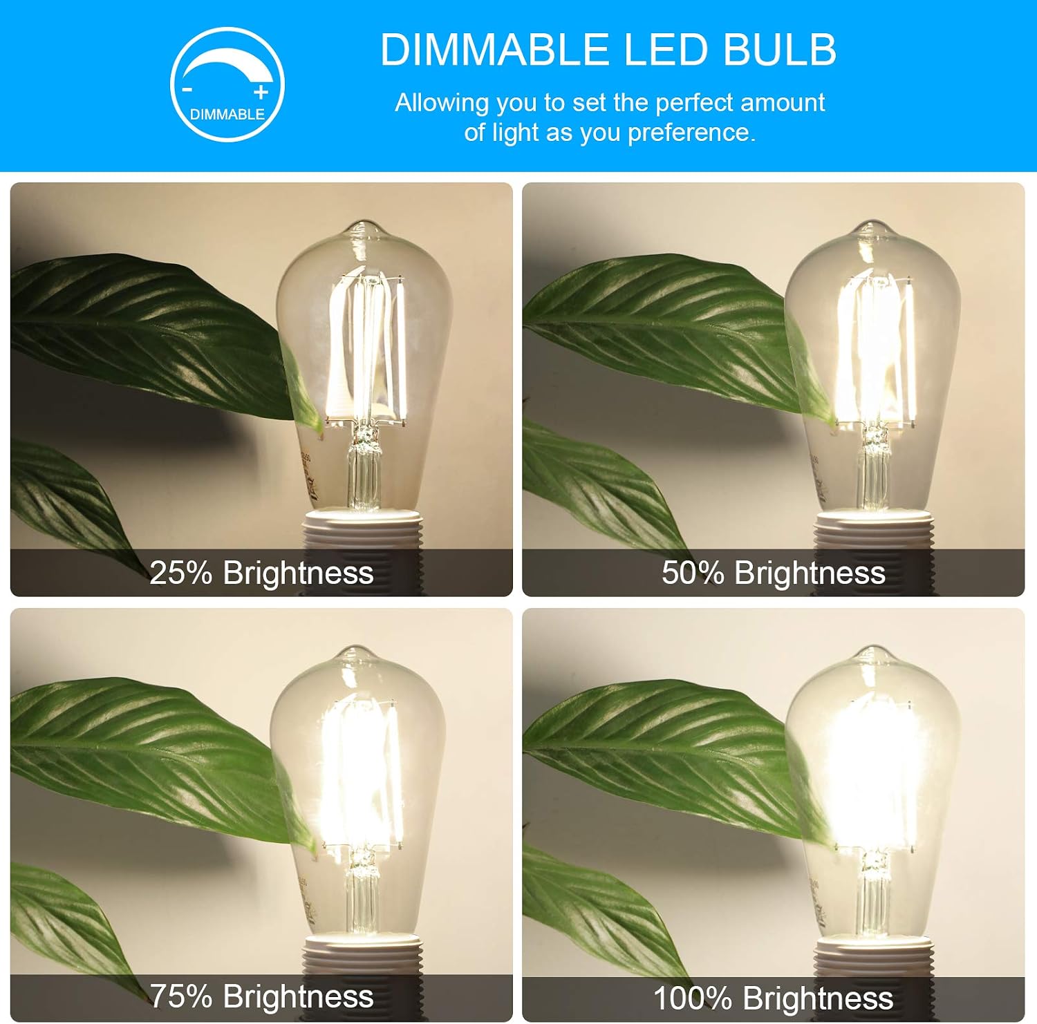 Vintage LED Edison Bulb, 6W, Equivalent 60W, DaylightWhite 4000k, Dimmable Led Filament Light Bulb, E26 Base, High CRI 95+ Eye Protection Led Bulb, Clear Glass for Home Bathroom Kitchen, Pack of 5