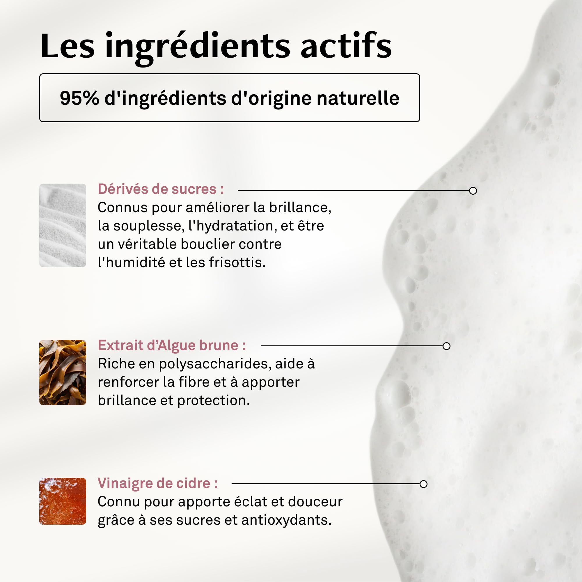 LUXEOL - Shampooing Brillance - Pour des cheveux brillants, hydratés et sans frisottis pendant 96h* - 95% Ingrédients d'Origine Naturelle - Fabriqué en France - 200 ml