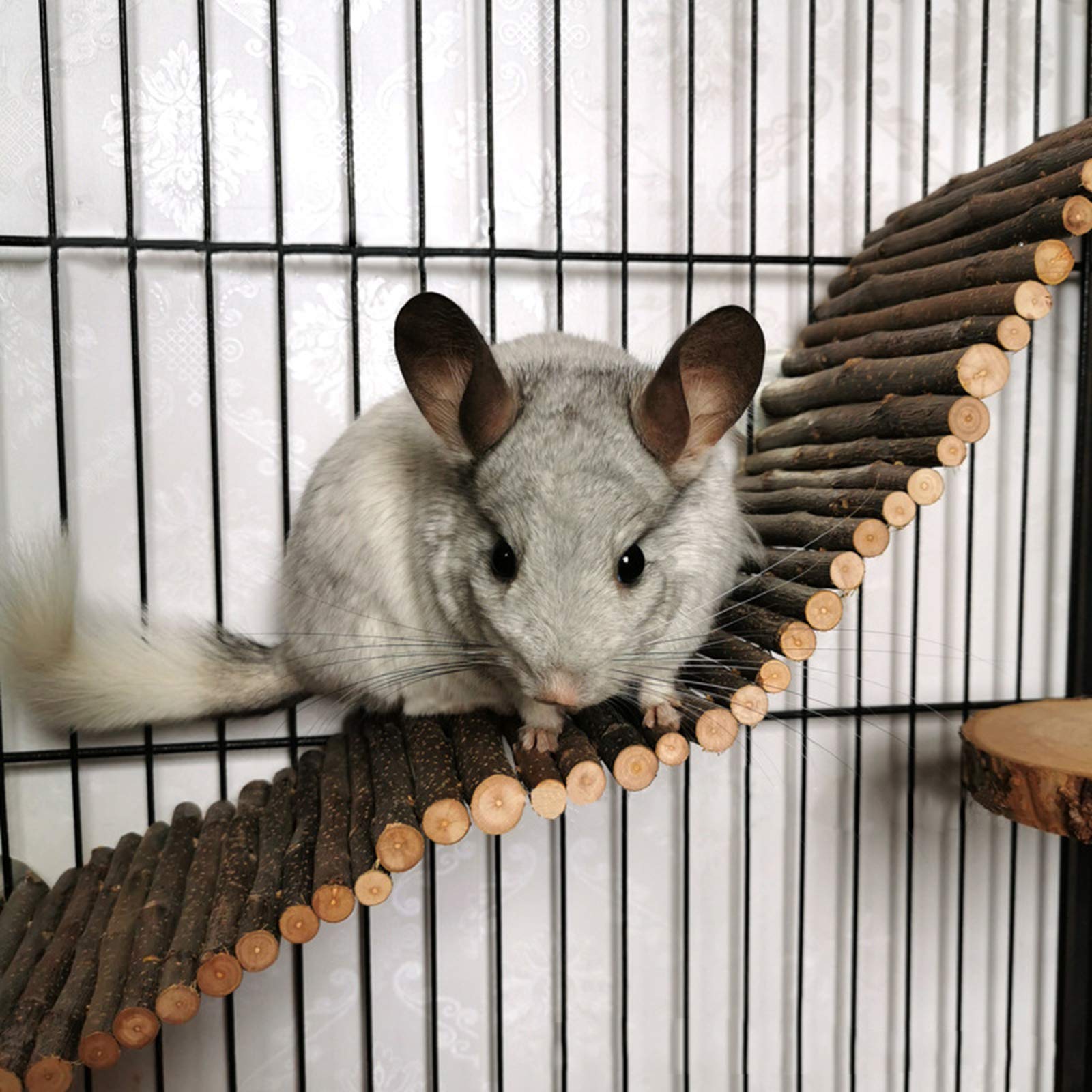 Jouet de Hamster, 8 Pièces Bois Naturel Jouets de Mâcher, Bâtons de Pomme, Pommes de pin, balançoire Suspendue pour Furets, Cobayes, Oiseau, Petit Écureuil, Chinchilla, Souri, Rongeur